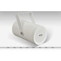 10W Uni Direção parede à prova de água Speaker (LDQ-002)